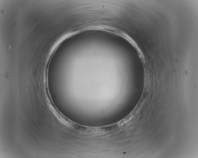 X0000083620811200702260952