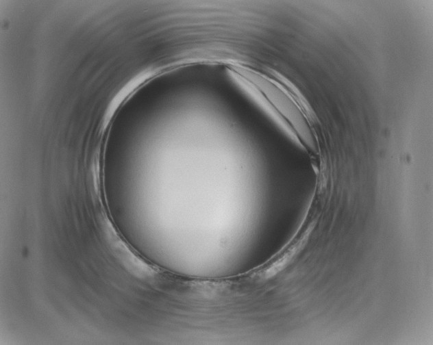 X0000083620812200702260952