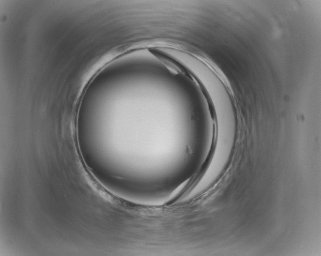 X0000083620813200702260952