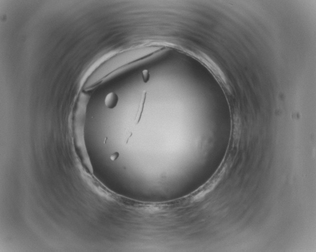 X0000083620814200702260952