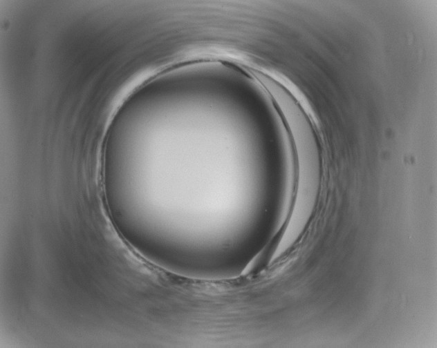 X0000083620815200702260952