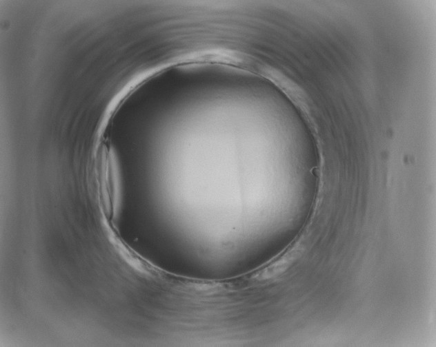 X0000083620816200702260952