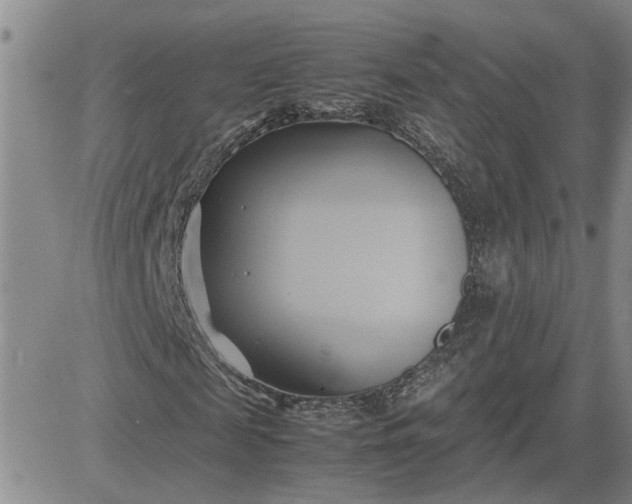 X0000083620817200702260951