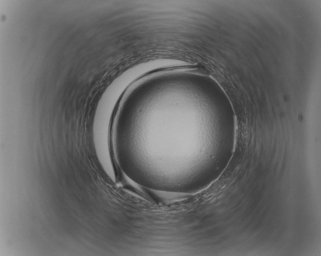 X0000083620818200702260951