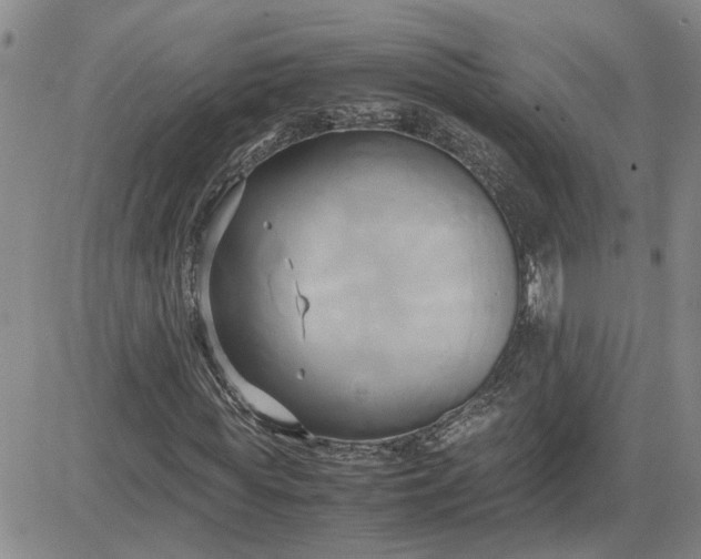 X0000083620819200702260951