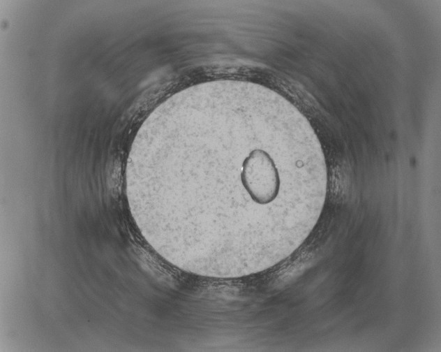 X0000083620820200702260951