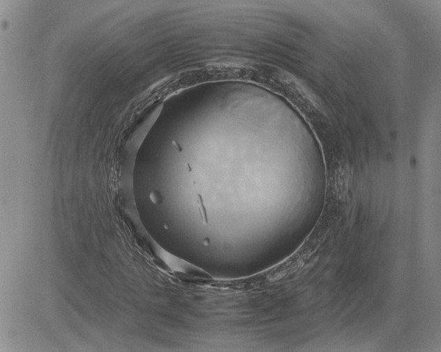 X0000083620821200702260951