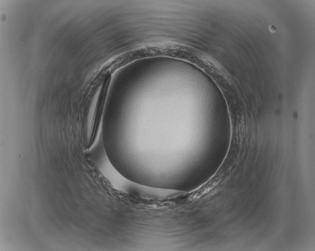 X0000083620822200702260951