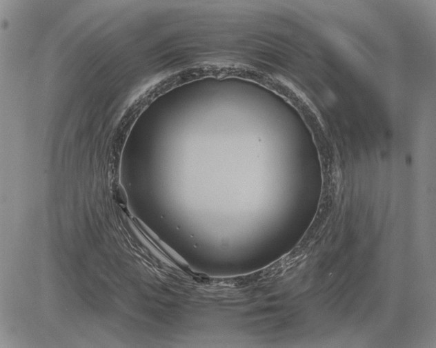 X0000083620823200702260951