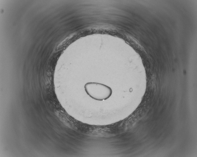 X0000083620824200702260951