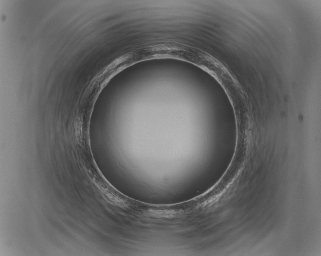 X0000083620825200702260951