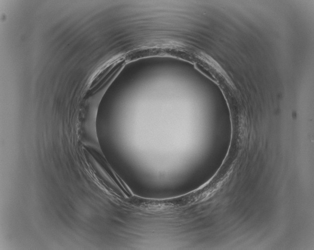 X0000083620826200702260951