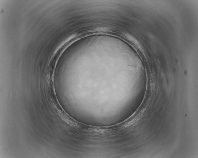 X0000083620827200702260951