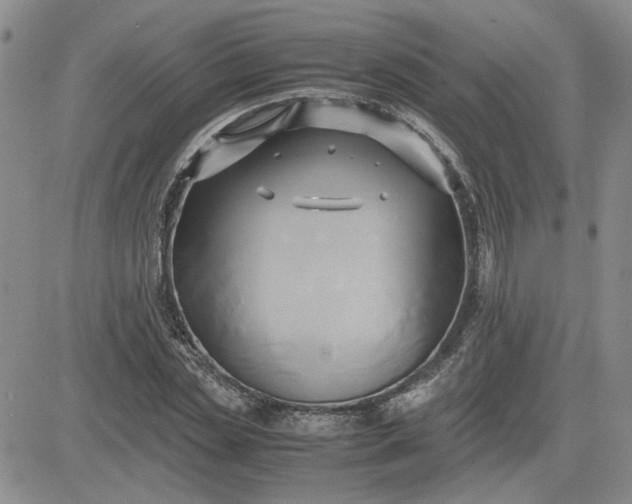 X0000083620829200702260951