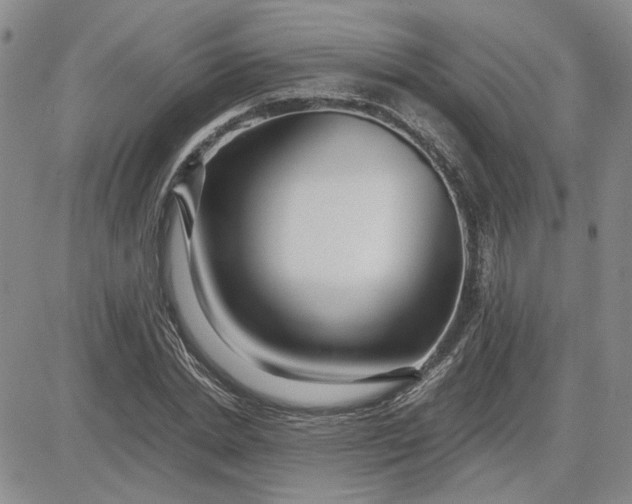 X0000083620830200702260951