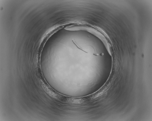 X0000083620831200702260951