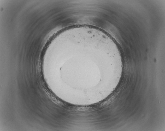 X0000083620832200702260951