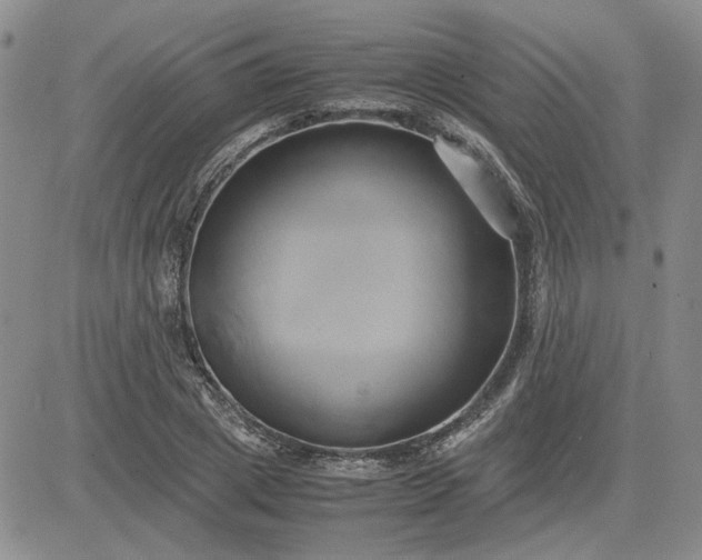 X0000083620833200702260951