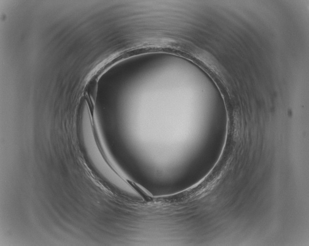 X0000083620834200702260951