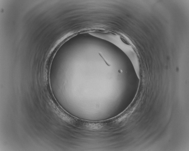 X0000083620835200702260951