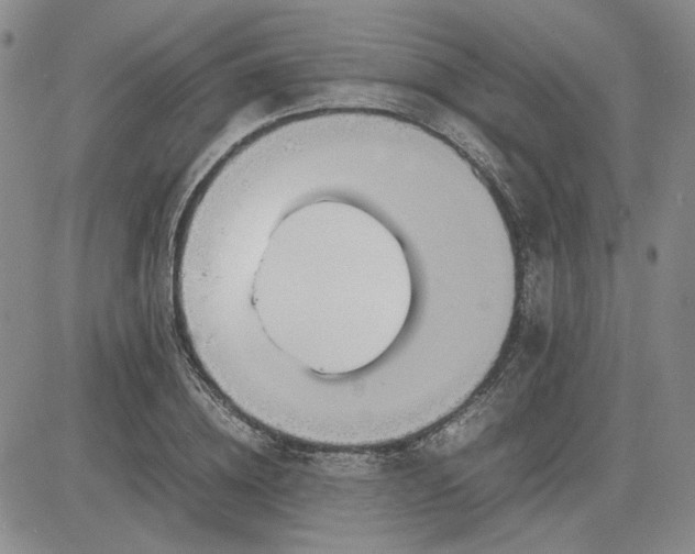 X0000083620836200702260951