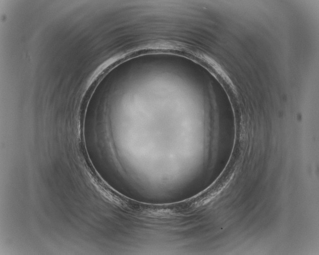 X0000083620837200702260951