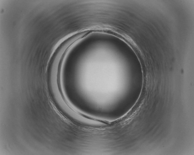 X0000083620838200702260951