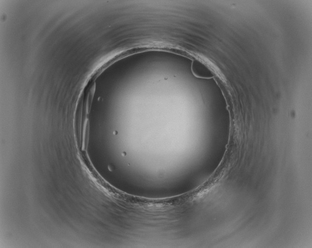 X0000083620839200702260951