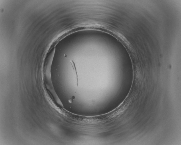 X0000083620840200702260951