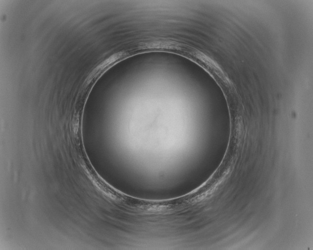 X0000083620841200702260951