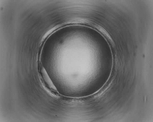 X0000083620842200702260951