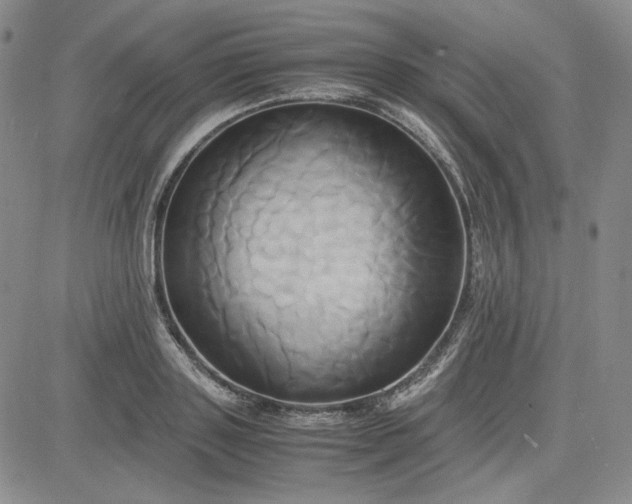 X0000083620843200702260951