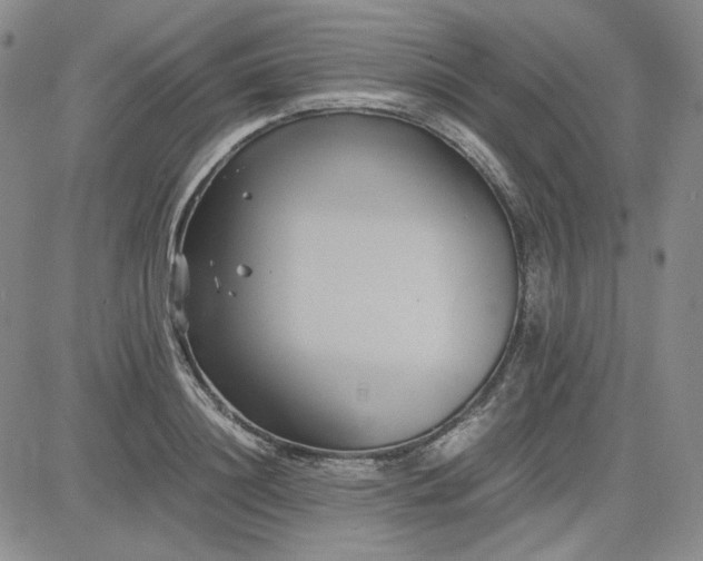 X0000083620844200702260951