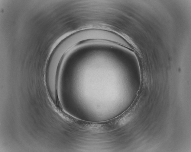 X0000083620846200702260951