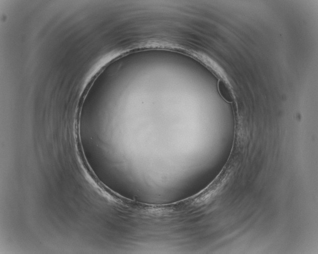 X0000083620847200702260951