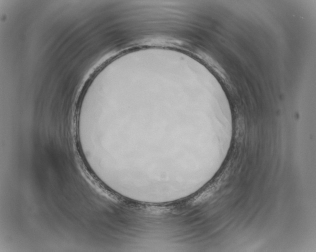 X0000083620848200702260951