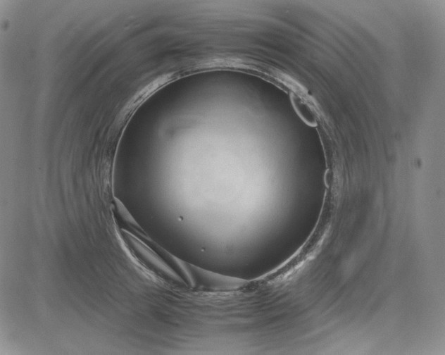 X0000083620849200702260951