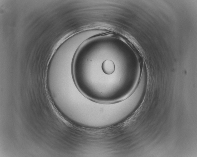 X0000083620850200702260951