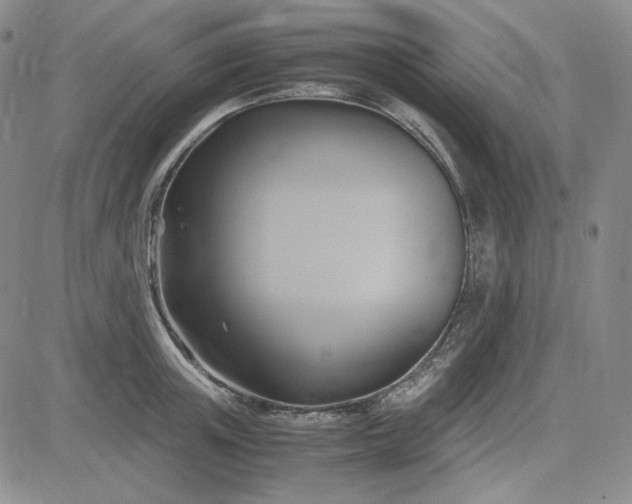 X0000083620851200702260951