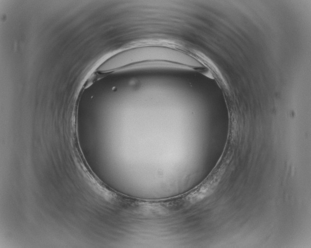 X0000083620852200702260951