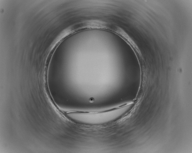 X0000083620853200702260951