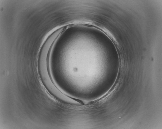 X0000083620854200702260951