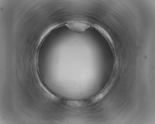 X0000083620855200702260951