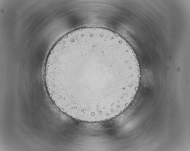 X0000083620856200702260951