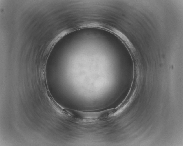 X0000083620857200702260951