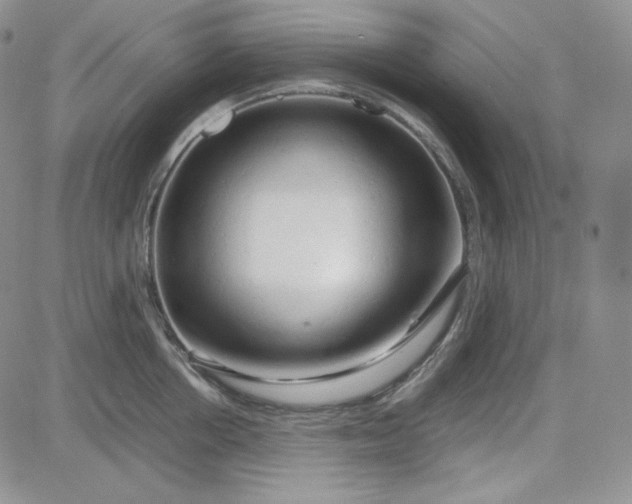 X0000083620858200702260952