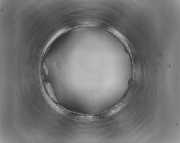 X0000083620859200702260952