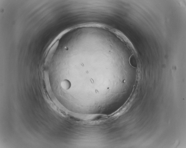 X0000083620860200702260952