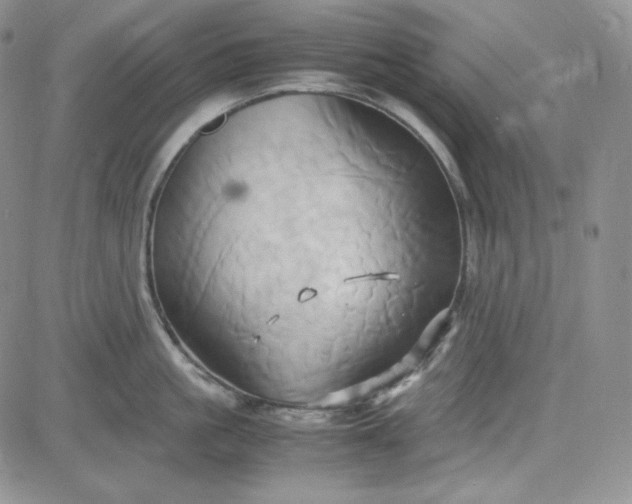 X0000083620861200702260952