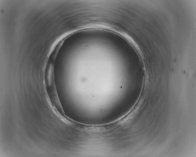 X0000083620862200702260952